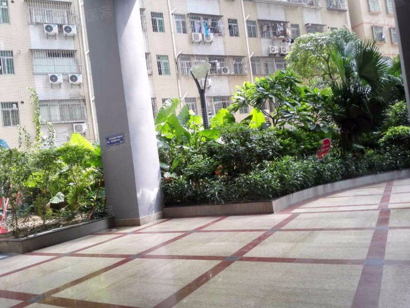 厦村统建楼,沙平北路89号-深圳厦村统建楼二手房,租房,房价-深圳安居