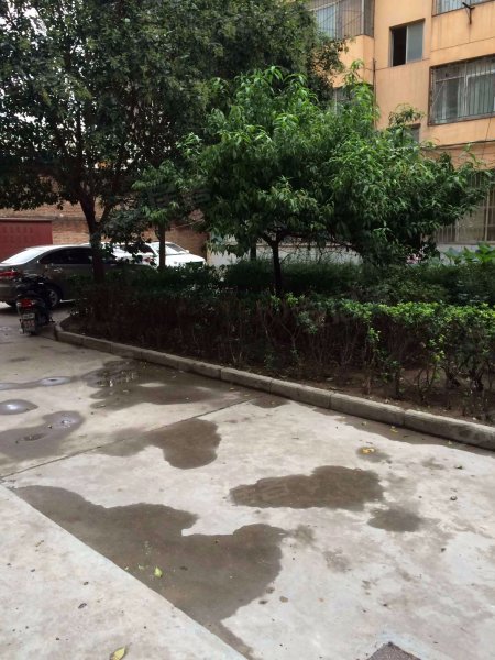 惠群小区,毕塬路16号-咸阳惠群小区二手房,租房,房价-咸阳安居客