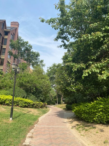 森林半岛(南区)