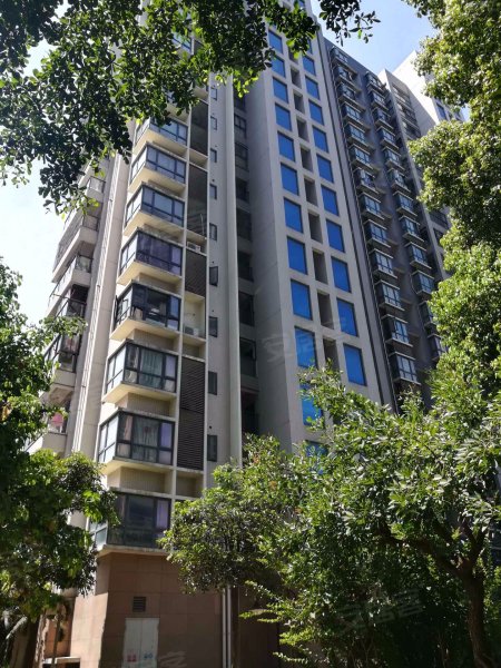 美林湾(西区),卢滨路639号-福州美林湾(西区)二手房,租房,房价-福州