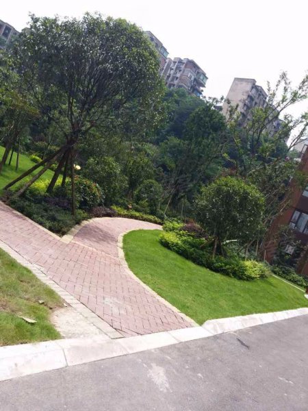 蓝光御江台(1期)