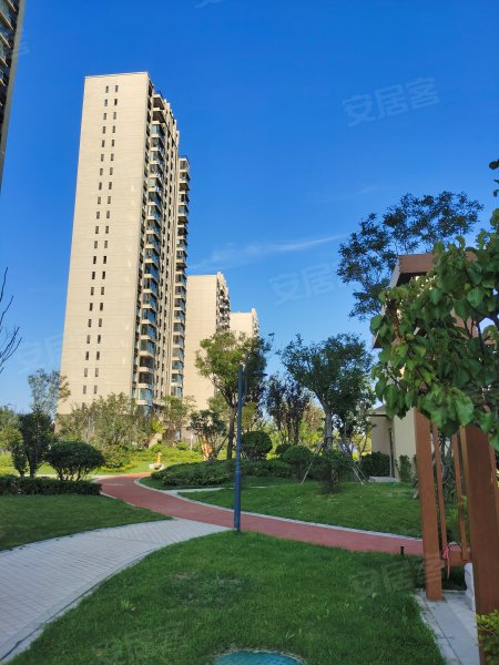 碧桂园天玺,会展路66号-东营碧桂园天玺二手房,租房,房价-东营安居客