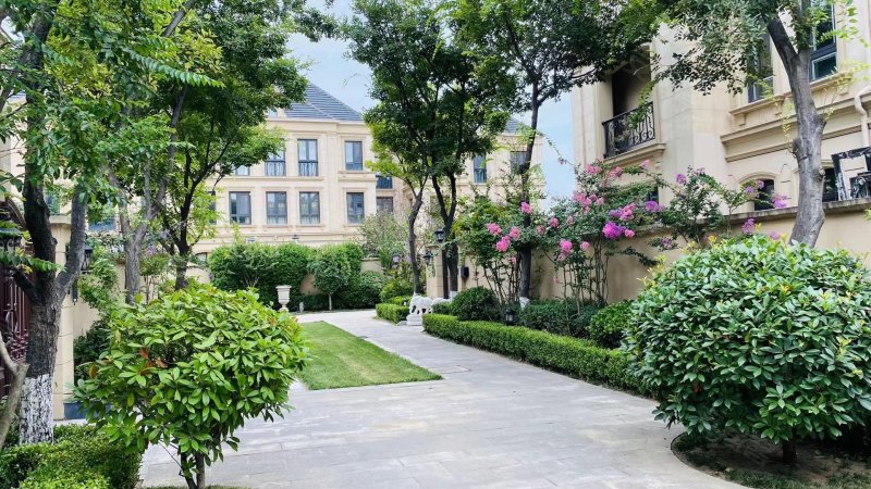 理想之城玫瑰园