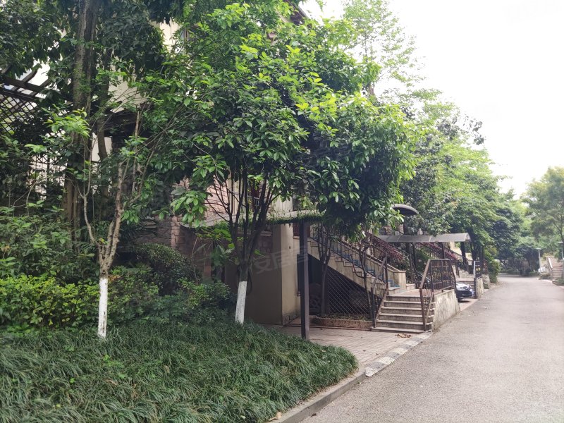 协信彩云湖1号(别墅),科城路166号附52号-重庆协信彩云湖1号(别墅)