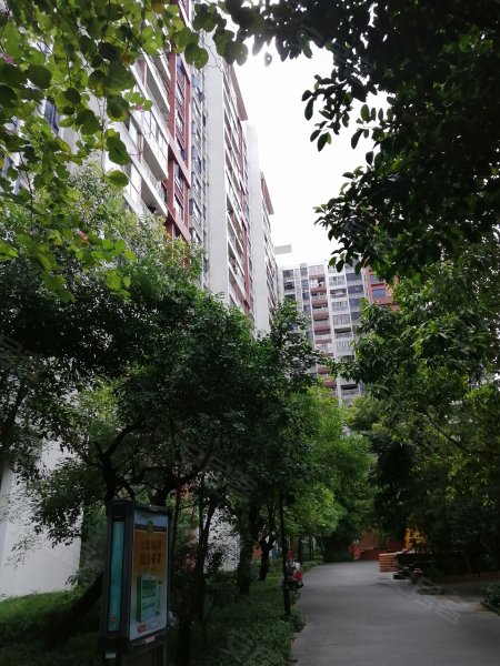 时代玫瑰园