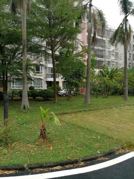 银海雅苑,银坑泉星路82号-珠海银海雅苑二手房,租房,房价-珠海安居客