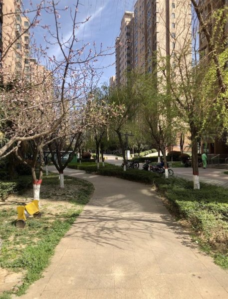 盛世长安,郭杜北街47号-西安盛世长安二手房,租房,房价-西安安居客