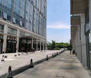 绿地之窗