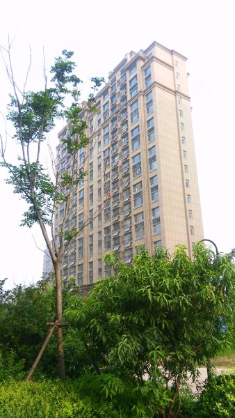 壹号公馆,文圣街-潍坊壹号公馆二手房,租房,房价-潍坊安居客