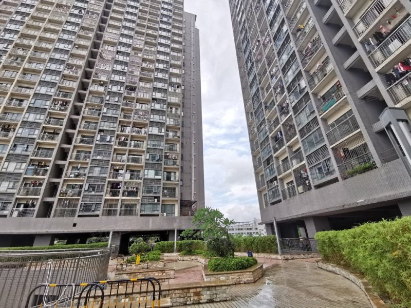 豪方菁园,金牛西路9号-深圳豪方菁园二手房,租房,房价-深圳安居客