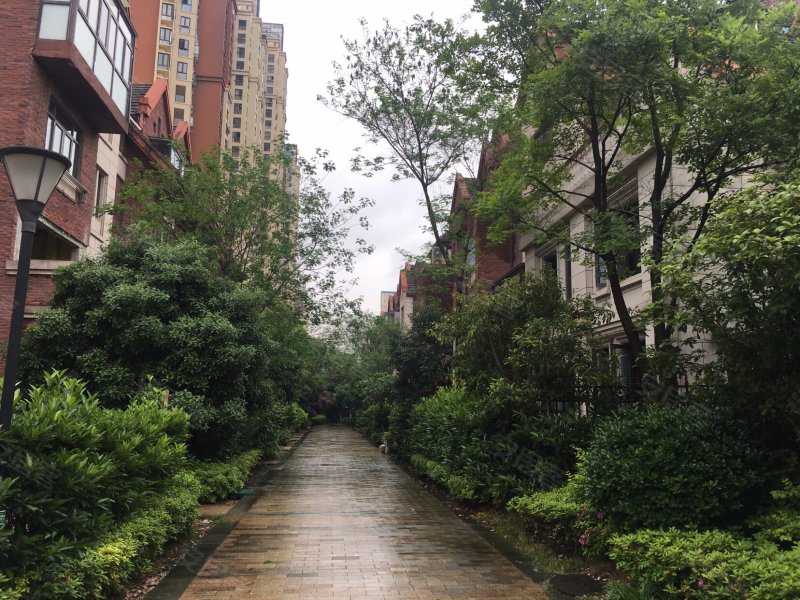中央香榭(别墅),丰和南大道1888号-南昌中央香榭(别墅)二手房,租房