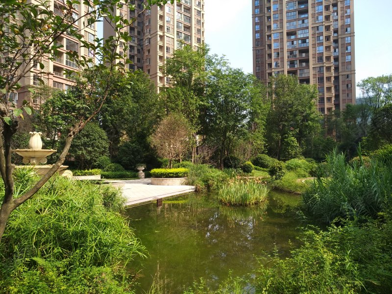 明信仕林府,百信路188号-成都明信仕林府二手房,租房,房价-成都安居客