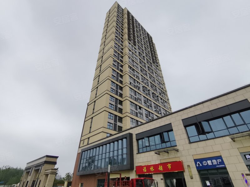 大发宜景城学府汇(商住楼),潜江路,近华中东路