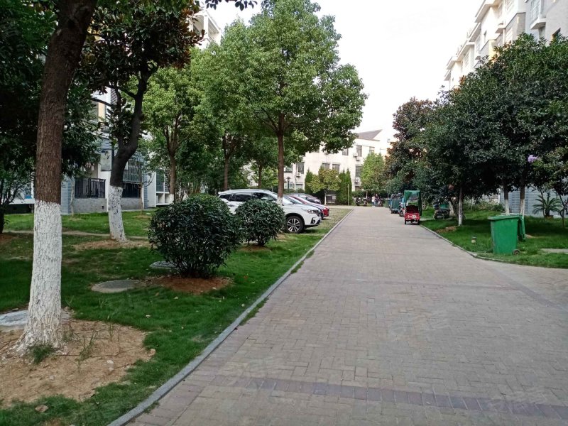 翡翠花园翠湖苑,翡翠路447号-合肥翡翠花园翠湖苑二手房,租房,房价