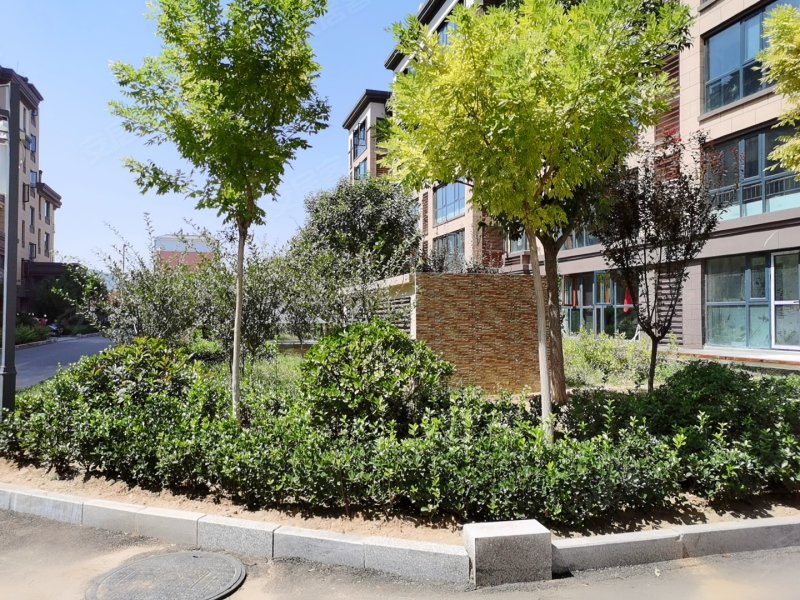 华伟御华园,南关路15号-泰安华伟御华园二手房,租房,房价-泰安安居客