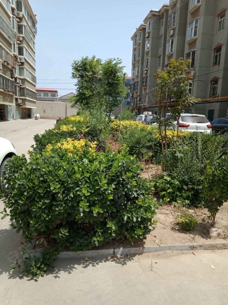 康乐庄园,健康西路-邢台康乐庄园二手房,租房,房价-邢台安居客