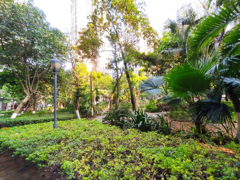 八桂绿城云顶印象