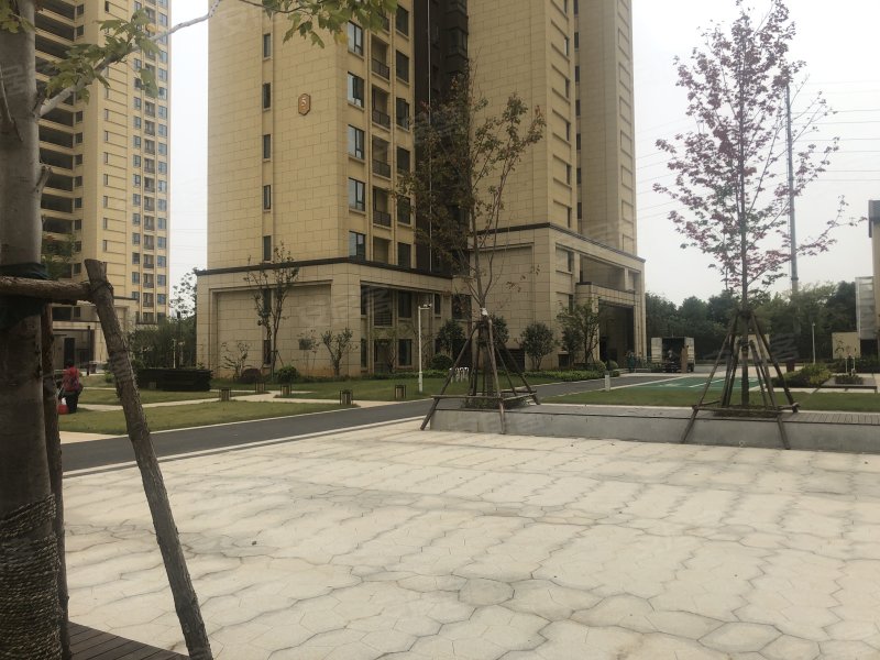 光谷澎湃城奥山府