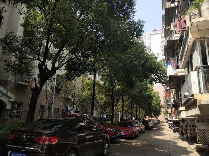 枫林美景,杜鹃路76号-长沙枫林美景二手房,租房,房价-长沙安居客