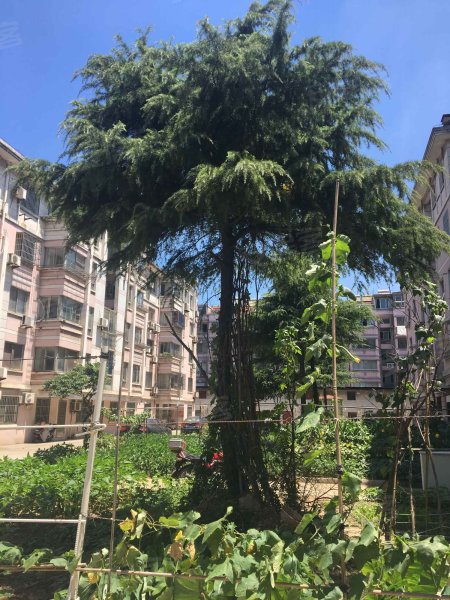 华尔润新村小区