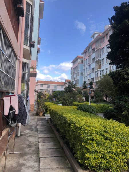 秀苑花园,秀苑巷2号-楚雄秀苑花园二手房,租房,房价-楚雄安居客