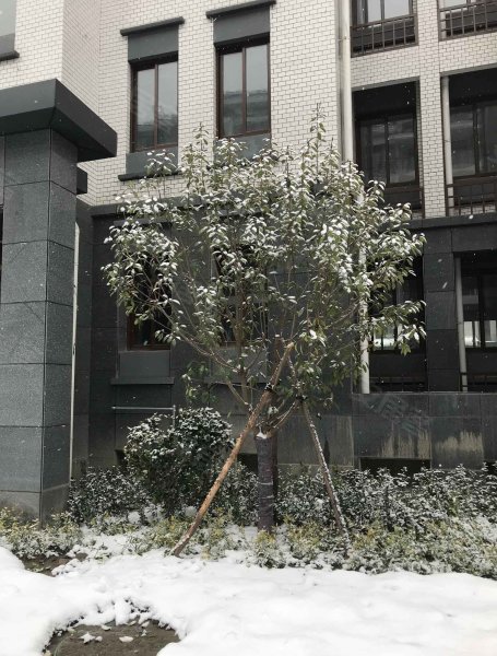 湘湖南苑,亚太路-阳泉湘湖南苑二手房,租房,房价-阳泉安居客