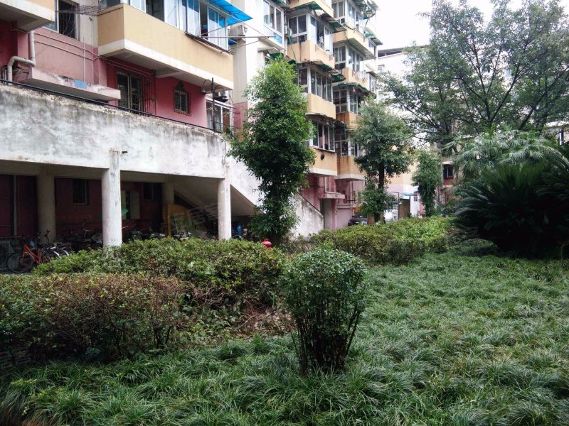 金色花园(青白江),政府中路47号-成都金色花园(青白江)二手房,租房