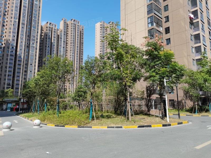 滨湖润园(北区),迎淮路,近广东路-合肥滨湖润园(北区)二手房,租房