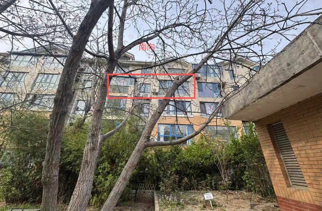 大雄郁金香舍3室2厅132.56㎡447万二手房图片