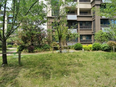 中辰书香里小区图片相册,桐城中辰书香里实景图,室外图,小区配套图