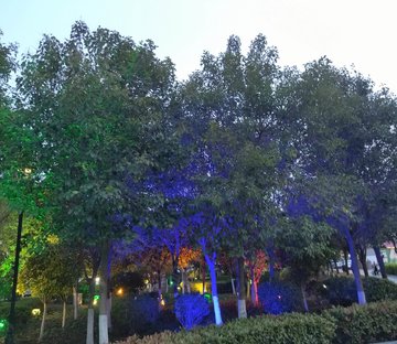 万达广场东坊(商住楼)