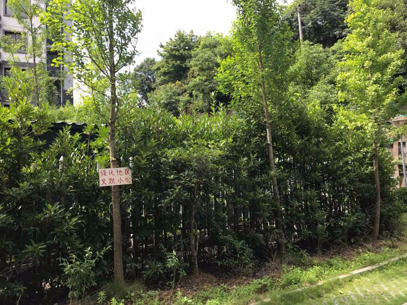 西溪庭院,闲林东路-杭州西溪庭院二手房,租房,房价-杭州安居客