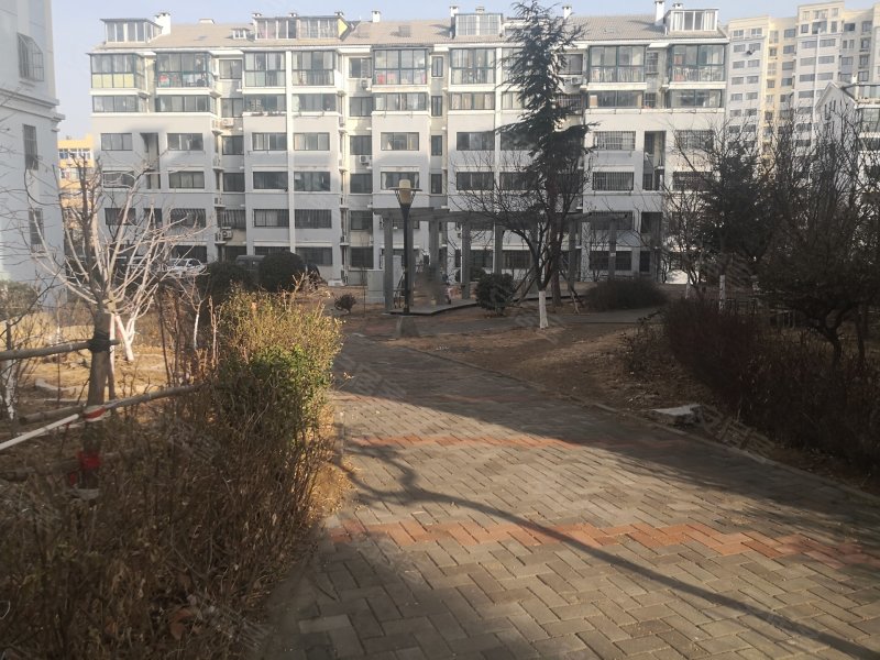 联城花园,周口路96号-青岛联城花园二手房,租房,房价-青岛安居客