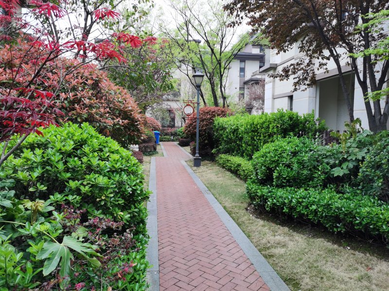 建业西城森林半岛,太白山路-漯河建业西城森林半岛二手房,租房,房价