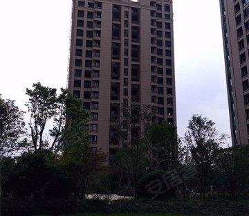高运高庄