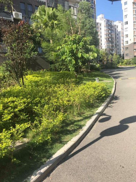 福建人才公寓,象峰126号-福州福建人才公寓二手房,租房,房价-福州安居