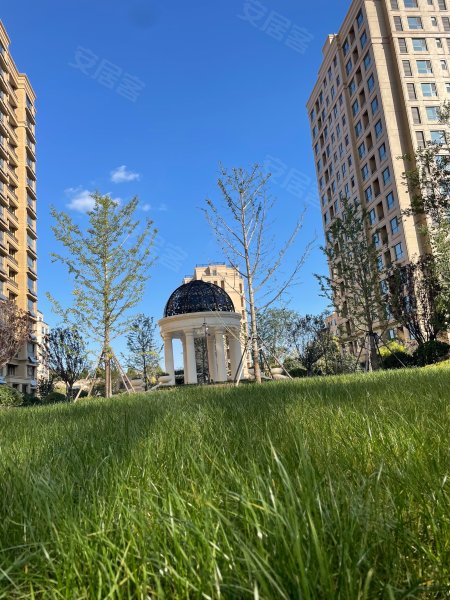 德润绿城春江花月