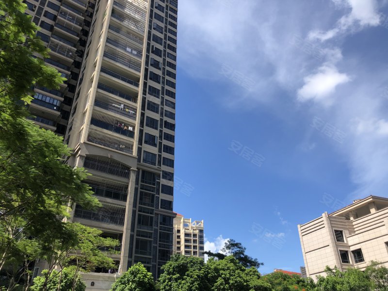 华兴金盛丽景,龙津街-惠州华兴金盛丽景二手房,租房,房价-惠州安居客