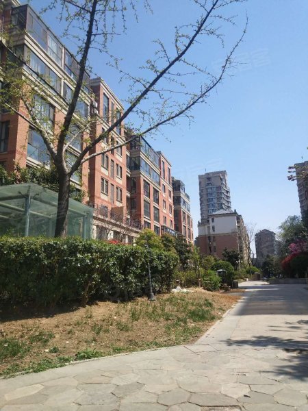 翠湖天地,塔寺北路288号-枣庄翠湖天地二手房,租房,房价-枣庄安居客