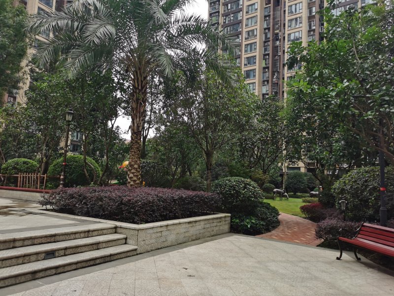 蓝光coco国际(二期)