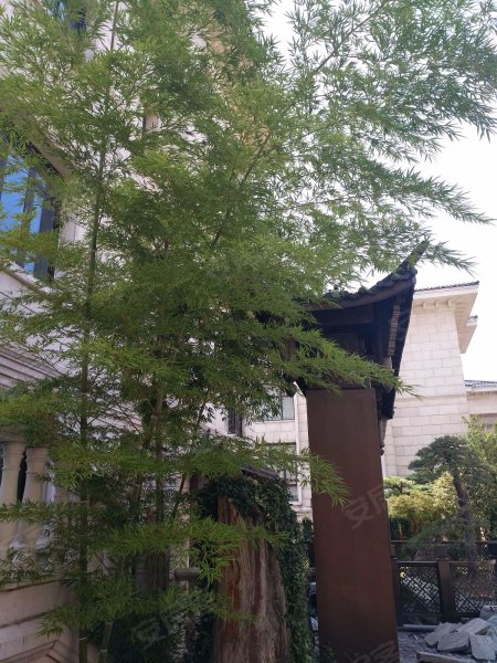 翠堤雅苑,环城南路-义乌翠堤雅苑二手房,租房,房价-义乌安居客