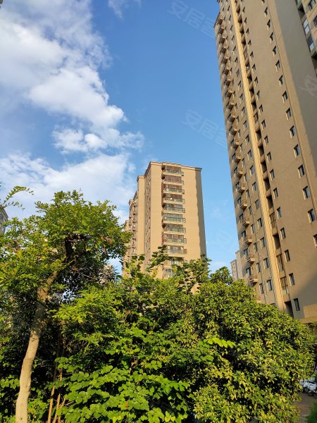 城置国际花园城(东区),城置商业街,近广德路-徐州城置国际花园城(东区