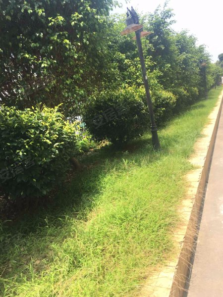 半山豪庭,南山路542-558号-厦门半山豪庭二手房,租房,房价-厦门安居客