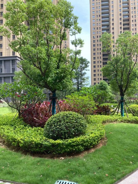 凤翔湖滨世纪首邑