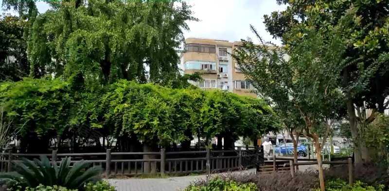 东陆新村七街坊 