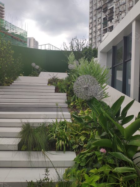 荣安九龙壹号,龙江支路,近龙江路-重庆荣安九龙壹号二手房,租房,房价