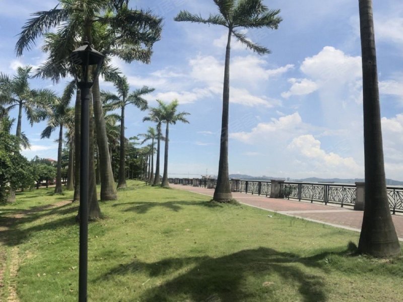 天琴湾,沙田环岛路-三亚天琴湾二手房,租房,房价-三亚安居客