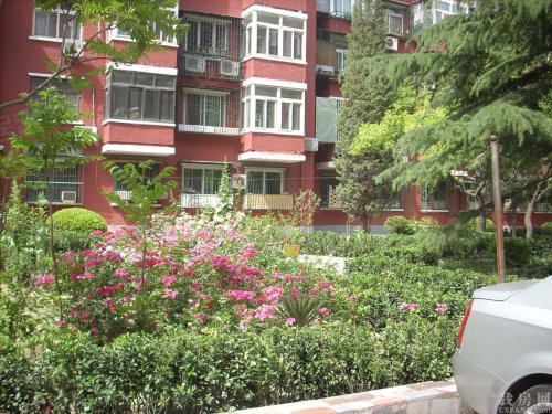 东四十二条21号院