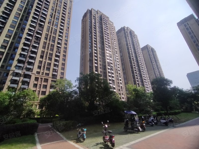 禹洲中央城一期(花香美地)