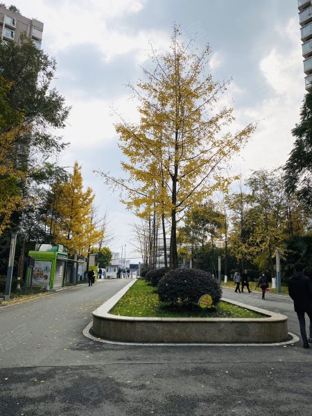 文星花园,川大路三段266号-成都文星花园二手房,租房,房价-成都安居客